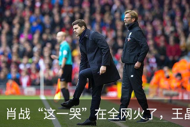 肖战“这一哭”在全网火了，王晶的评价，终于有人信了！
